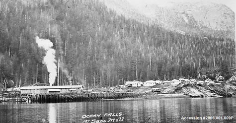 History of Logging