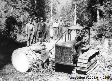 History of Logging