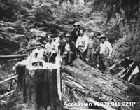 History of Logging