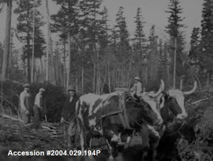 History of Logging