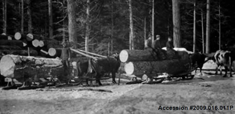 History of Logging