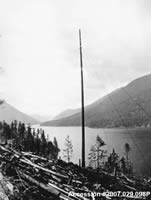 History of Logging