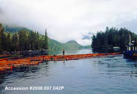 History of Logging