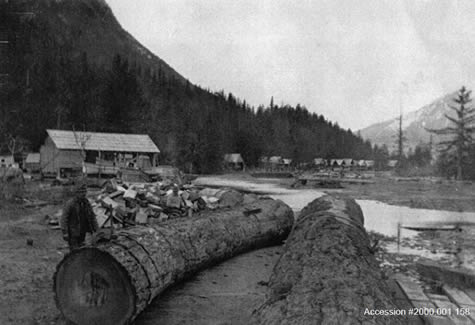 History of Logging