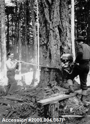 History of Logging