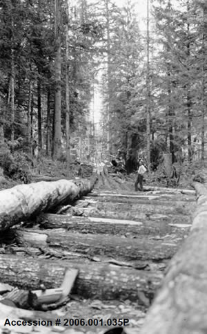 History of Logging