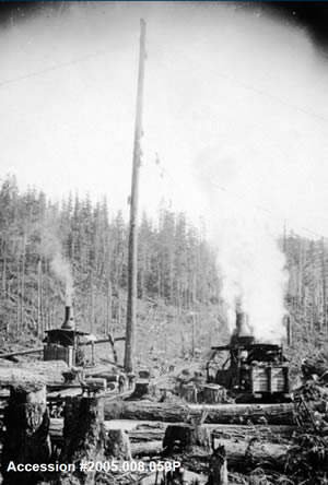 History of Logging