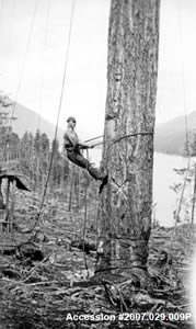 History of Logging