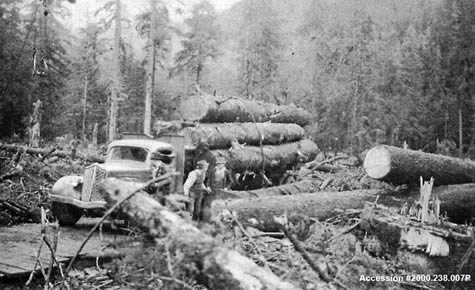 History of Logging