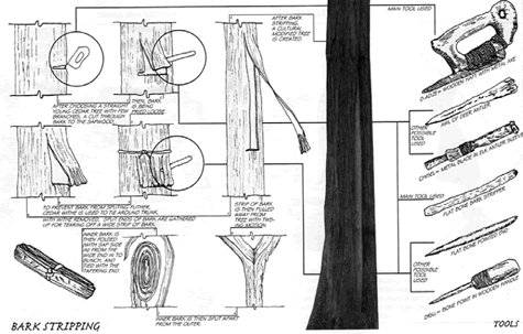 History of Logging