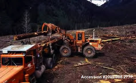 History of Logging