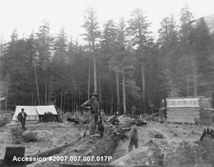 History of Logging