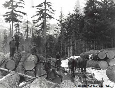 History of Logging