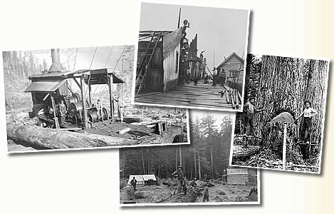 History of Logging in Bella Coola and area