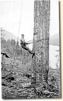Logging in the Bella Coola Valley: A Digital Heritage Project by B.C. Central Coast Archives