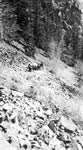 Freedom Road Exhibit - Bella Coola Valley Museum